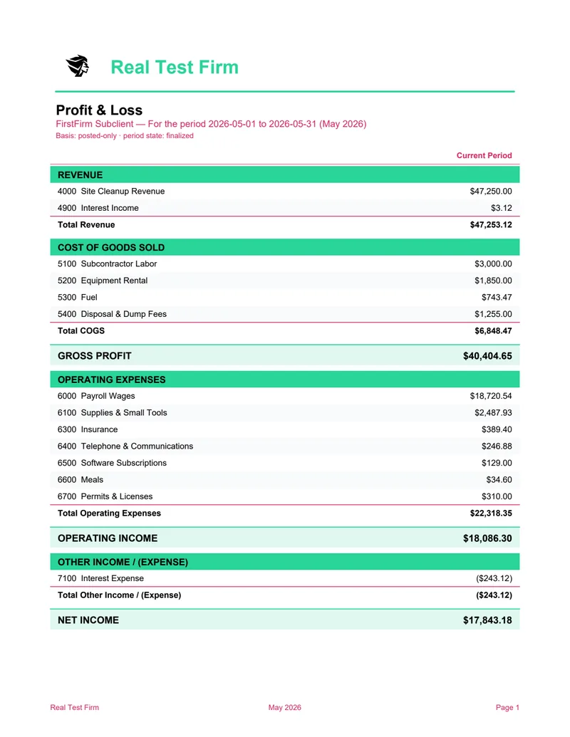Profit & Loss Statement preview